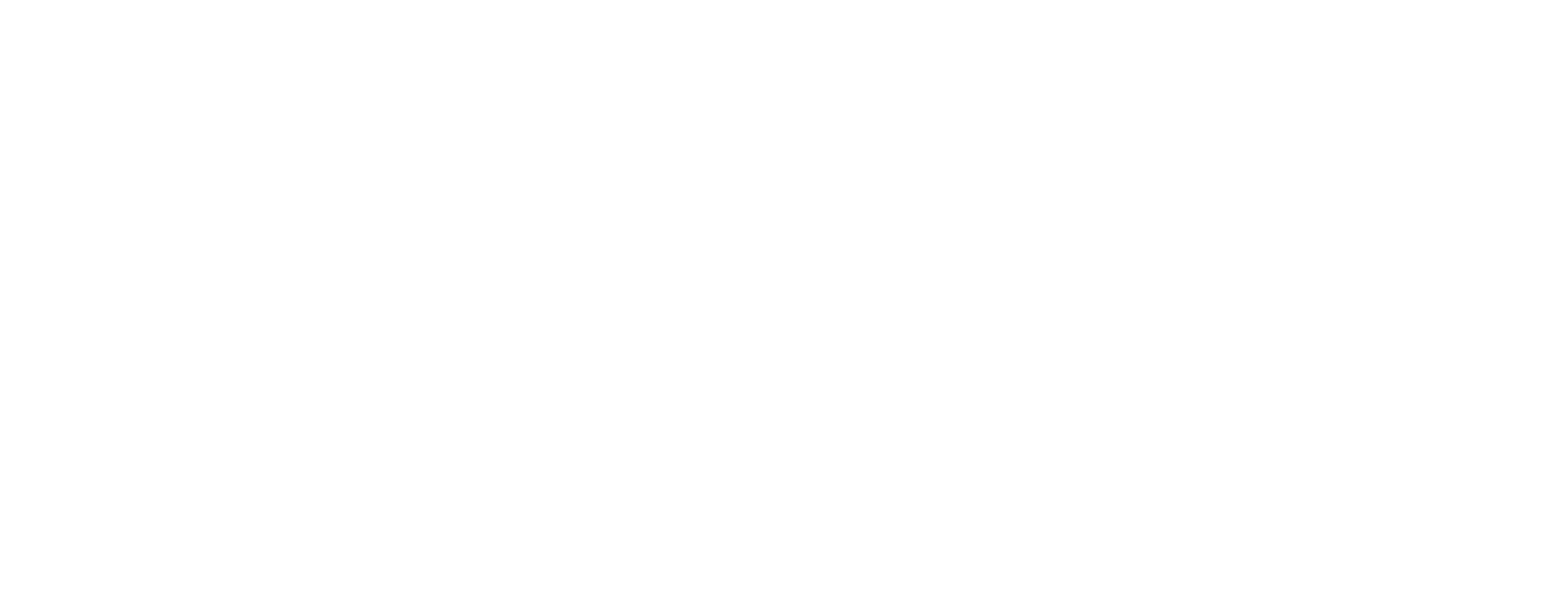 Logo Vormula